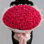 101 малиновая роза